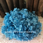 ❤️ご専用追加商品❤️