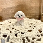 ちっちゃなトイプードル(ホワイト)