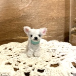 ちっちゃなチワワちゃん