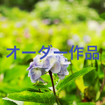 【オーダー作品】　羽ばたく蝶　イヤリング　紫　ピンク×緑