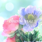 joesann様専用チップボード