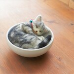 まるカップ猫　しおこぶ　Φ11.5cm★全国発送一律４００円