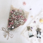 💫white＆pink💫　かすみ草のドライフラワー　スワッグ