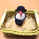 ココアラさま♡専用ページ♡白文鳥ちゃん幼稚園セット