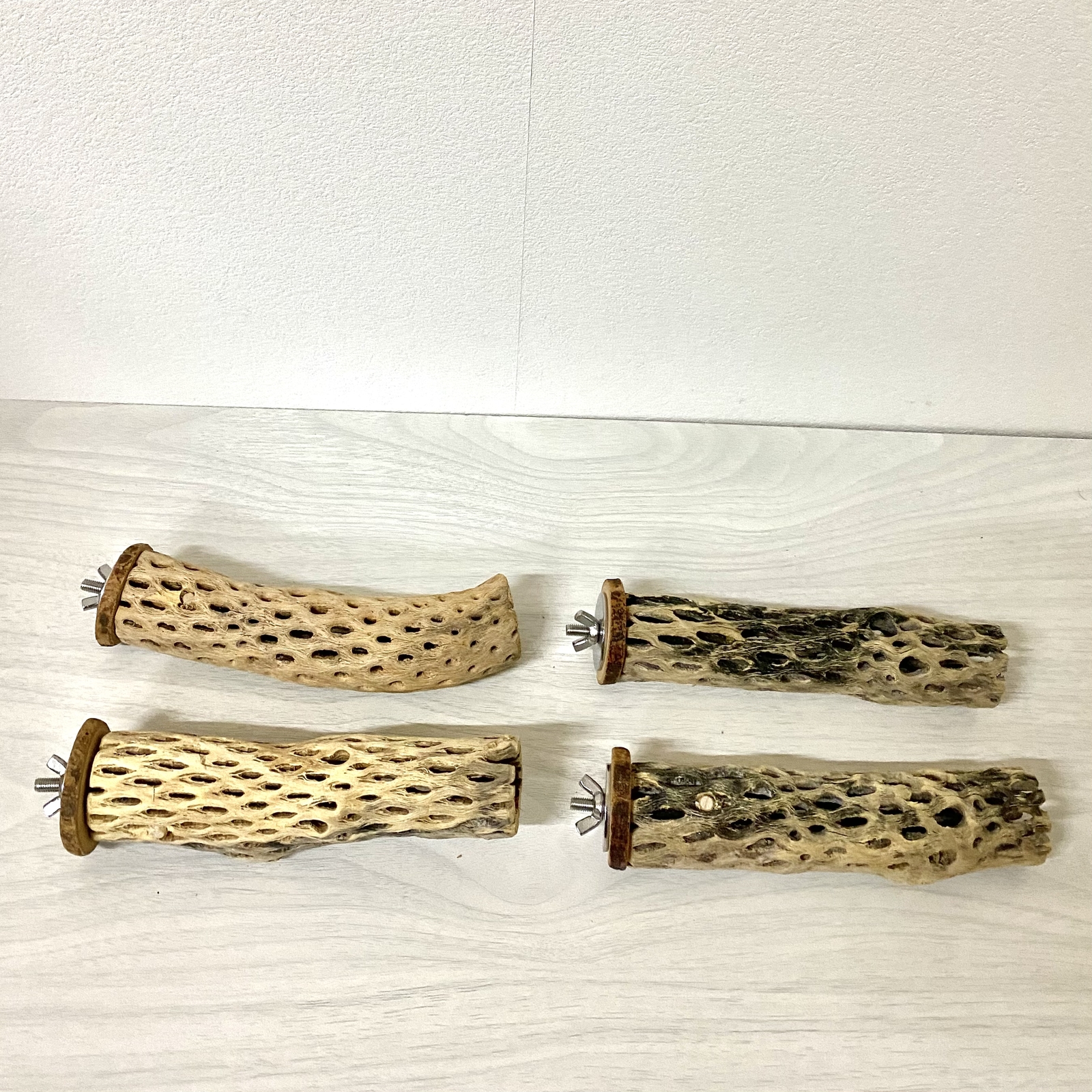 展示用】鳥 とまり木 カクタスパーチ（サボテンのとまり木）インコ