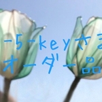 s-5-keyさまオーダー品