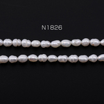 N1826  2連  最安値挑戦中！淡水パールビーズ 不規則オーバル 天然素材 4.5mm  2×1連(約62ヶ)
