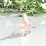 ペンギン　-桜- ※訳有り