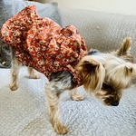 犬服　肩ひものフリルワンピ【オーダー】