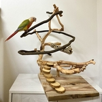 【isohotaguri様専用】自然木（ツタ）のぐるぐるバードアスレチック【オカメインコ】鳥まとり木・鳥おもち