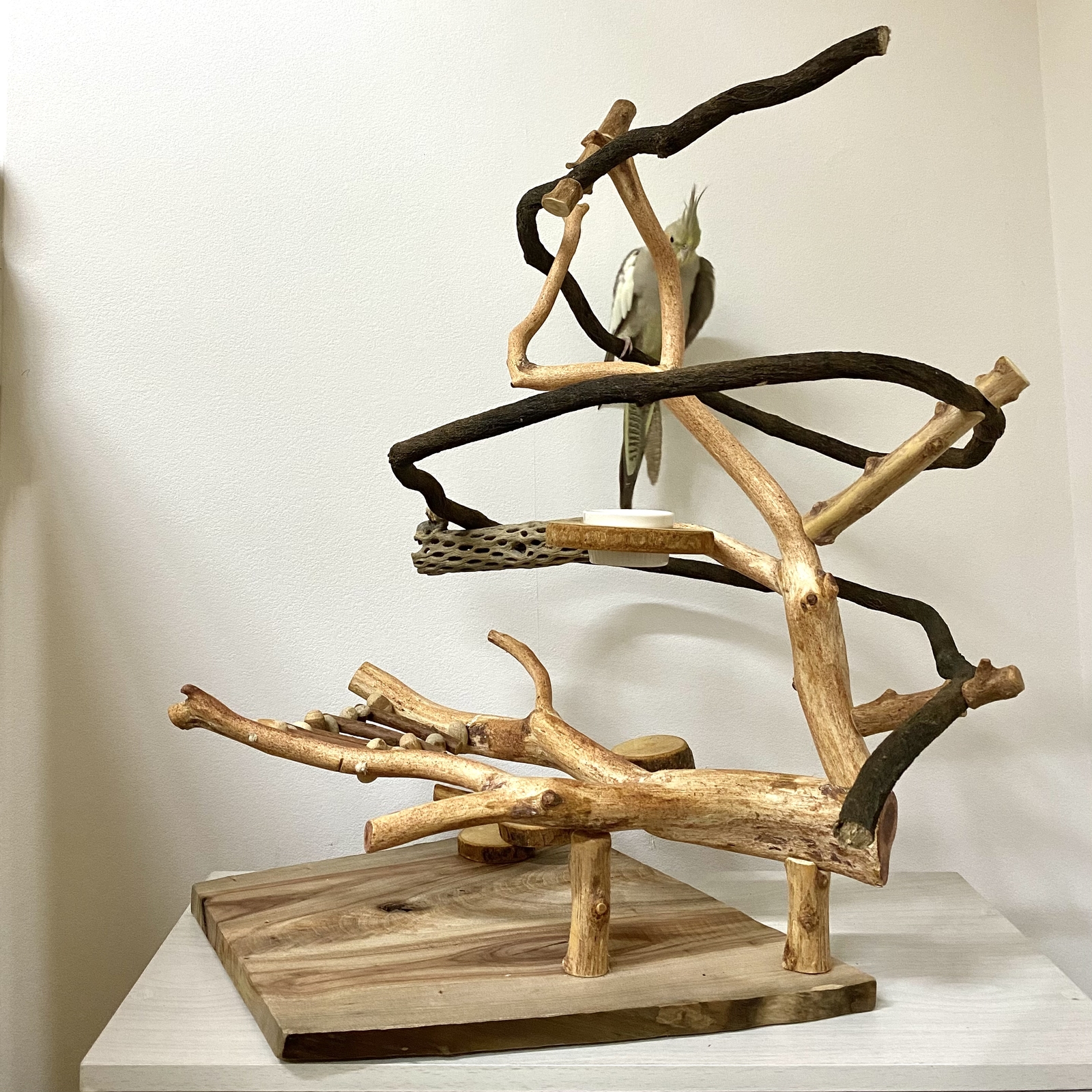 ⑥もちこオーダーページ　バードアスレチック流木　ハンドメイド ⑥もちこオーダーページ バードアスレチック流木 ハンドメイド