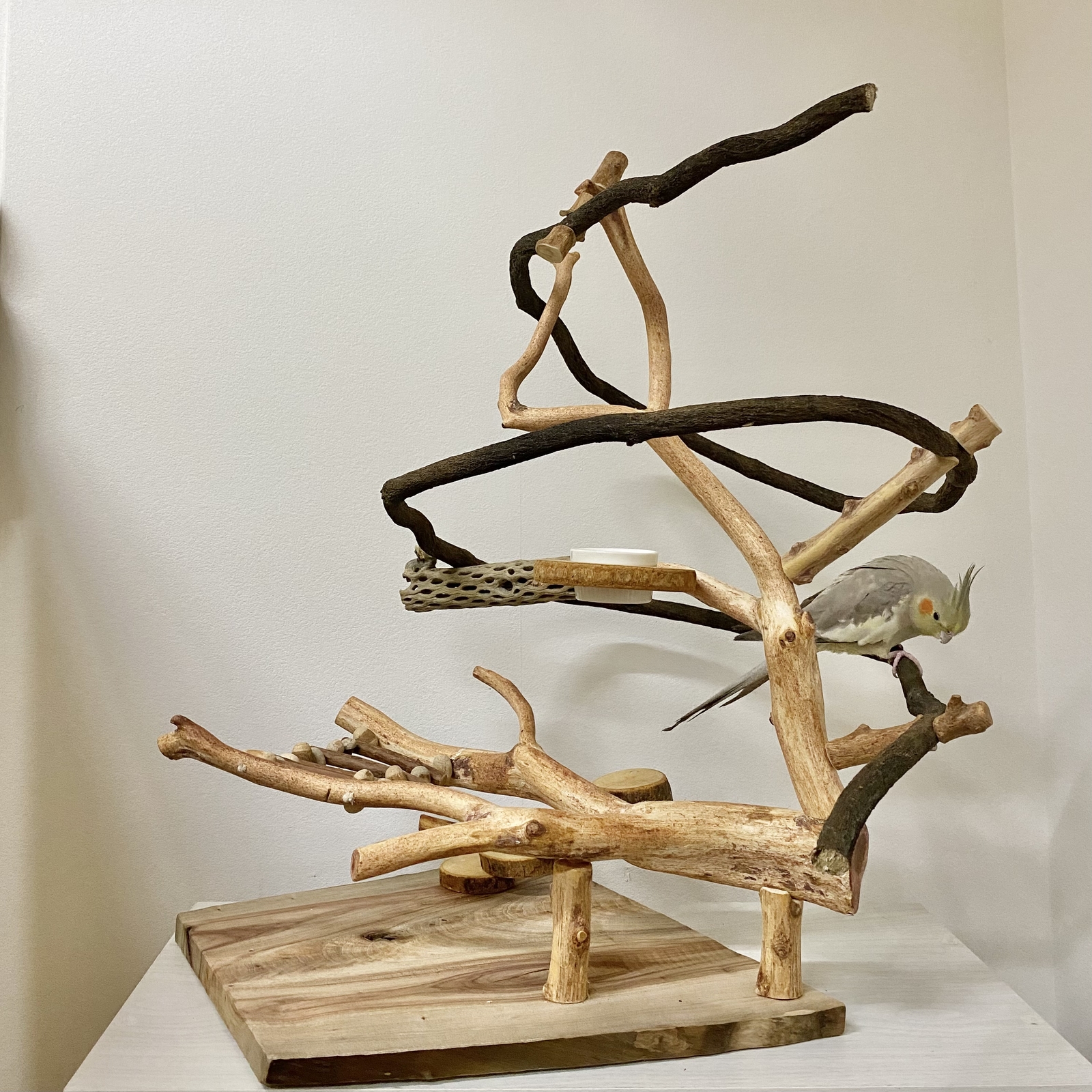 ④朝霧＊オーダーページ　バードアスレチック　流木　ハンドメイド ④朝霧様専用＊オーダーページ バードアスレチック 流木 ハンドメイド