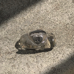 silver heart ring