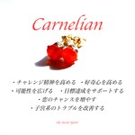 インド産カーネリアンの４本爪スタッドピアス（6mm)【イヤリング可】