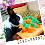 再販×3【入荷】にんじん畑ノーズワーク❤︎Baby知育玩具・ペットノーズワーク　にんじん畑　8本　赤ちゃん・ペットと楽しいおうち時間応援