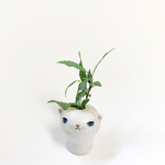 ねこ花瓶 無邪気