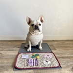 犬用嗅覚トレーニング知育マット　ノーズワークマット