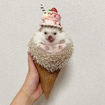 （M様専用）【クッキーM】ちゅぴぽのアイス屋さん