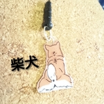 柴犬*.おしりイヤホンジャック