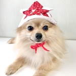 こどもの日 赤い和柄兜の被り物 