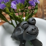 にゃーご様の専用ページです。