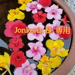 Jonkorin 様 専用