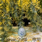  hinaic 29様　専用　ミモザセット　大きめラウンドトート＆ラウンドトート