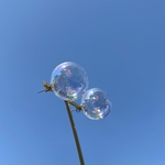 【送料無料】25mmシャボン玉ガラスドームピアス