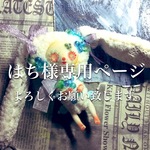 はち様専用ページ