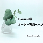 Haruma様オーダー専用ページ