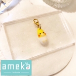 オカメインコ💧チャーム