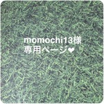 momochi13様  専用ページ  編みぐるみ  リアルうさちゃん  段染め糸使用