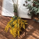 SALEmimosa bouquetドライフラワースワッグ