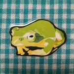 マグネット／アマガエル