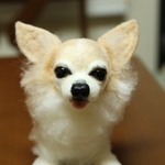 羊毛フェルト　ロングコートチワワ