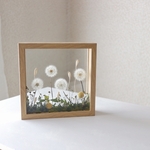 Botanical BoxFrame たんぽぽ 