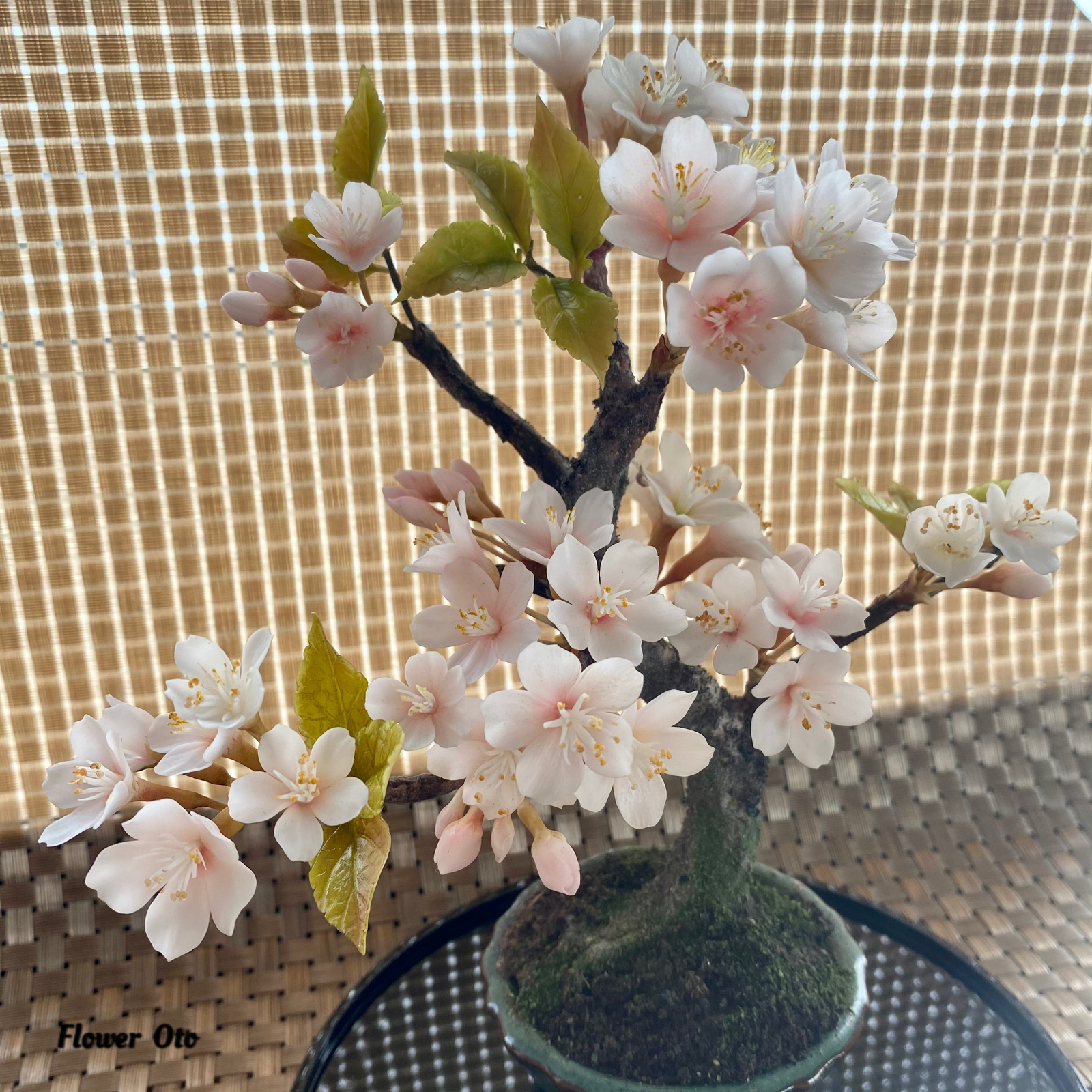 専用　桜の盆栽　樹脂粘土 　　　　　クレイフラワー 🌸桜の盆栽🌸パンフラワー クレイフラワー 樹脂粘土 フラワー