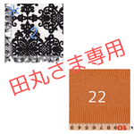 //田丸さま専用//タロットカードケース・横型／Tarot Card Case"Horizontal Model"