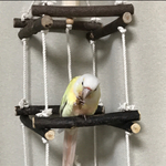 【rereboo!!様専用】⌘🐤ジャングルジム（その３）🐦⌘