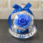 プリザーブドフラワー　フラワーアレンジメント　花ギフト　フラワーギフト　ガラスドーム　色／　ブルー　青　花／　バラ　薔薇　あじさい　用途／　プレゼント　母の日　結婚祝い　誕生日　新築祝い
