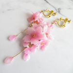 makiko様 ご予約品  桜咲く  舞桜  ピアス   再販不可