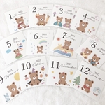 sale!2021年　seasonアルバム整理用　スクエアカード　ましかく