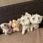 F様専用ページ