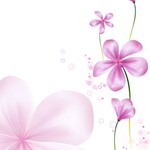 まや様専用ページ