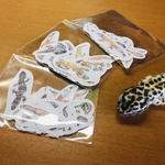 レオパのフレークシール リニューアルバージョン