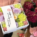【早期特典あり】お母さんありがとうございます
