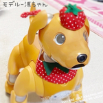 送料無料☆彡《受注製作》いちご帽子首輪尻尾リボン3点セット〜aibo