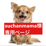 専用ページ