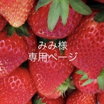 みみ様  専用ページ