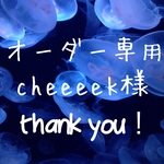 cheeeek様＊オーダー品